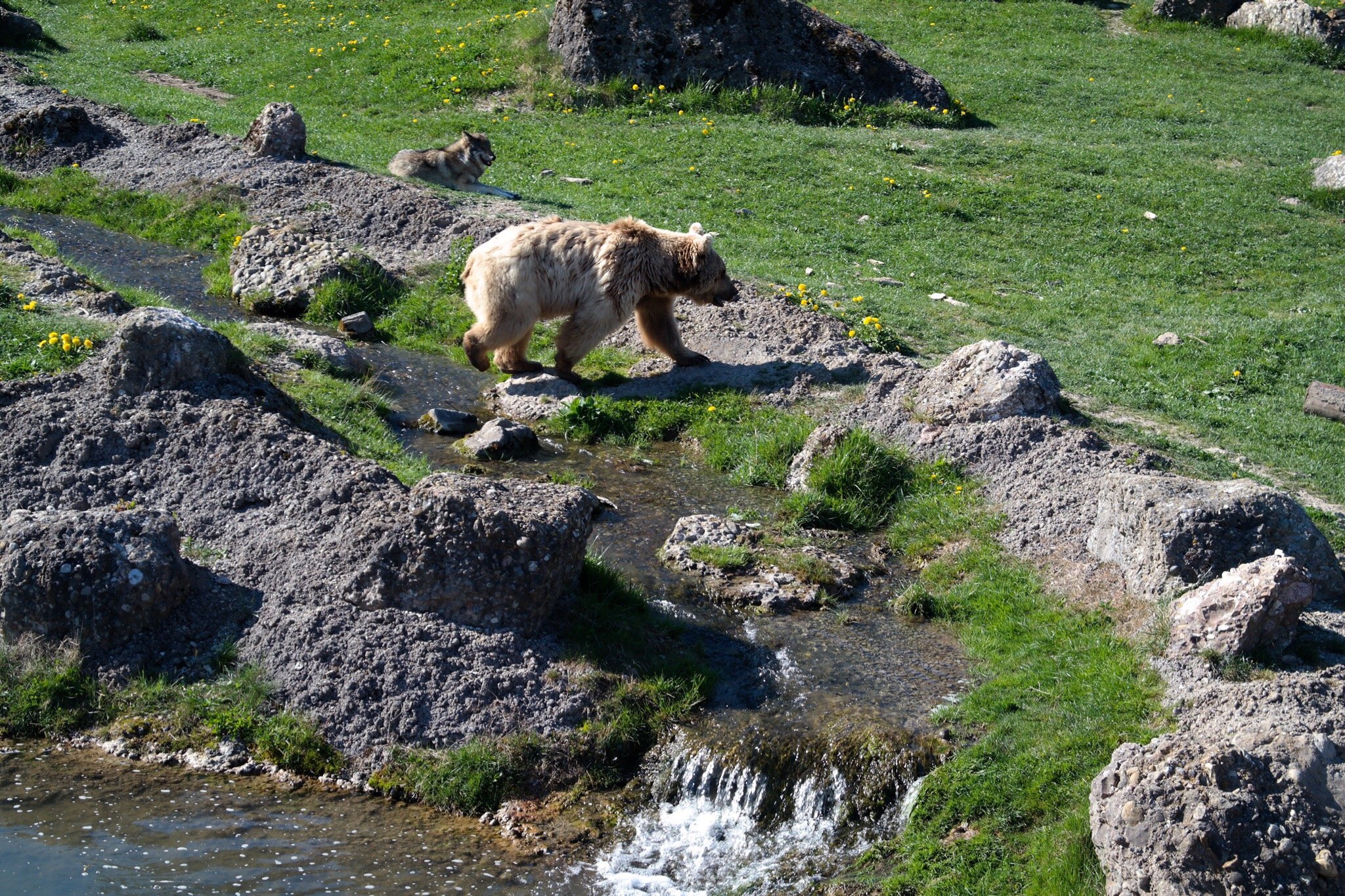 DIE TOP 10 Zoos Und Aquarien In Schweiz (2024) - Tripadvisor