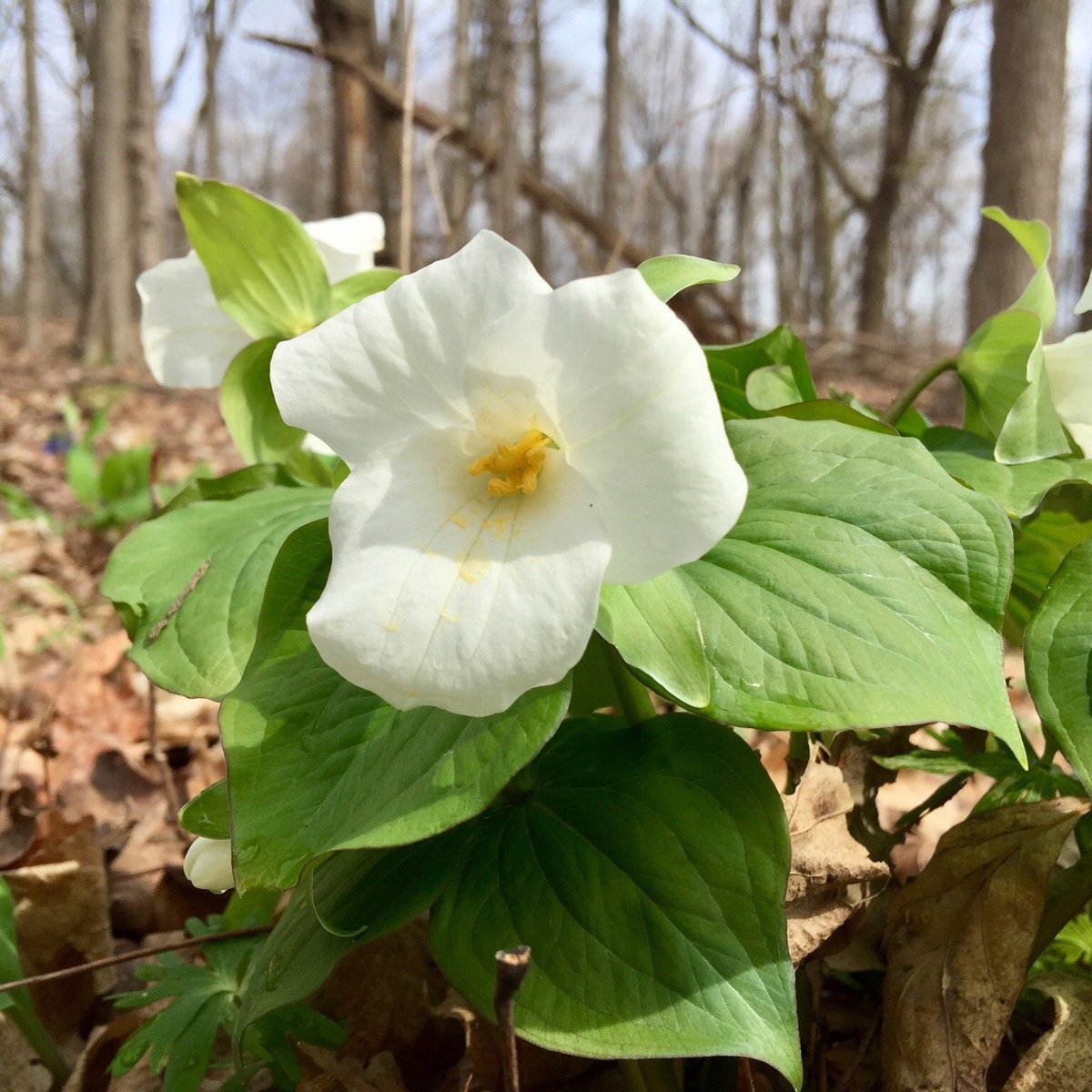 LILLY NATURE CENTER (West Lafayette) - All You Need to Know BEFORE You Go