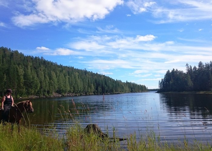 Svansele, Sweden 2024: Best Places to Visit - Tripadvisor