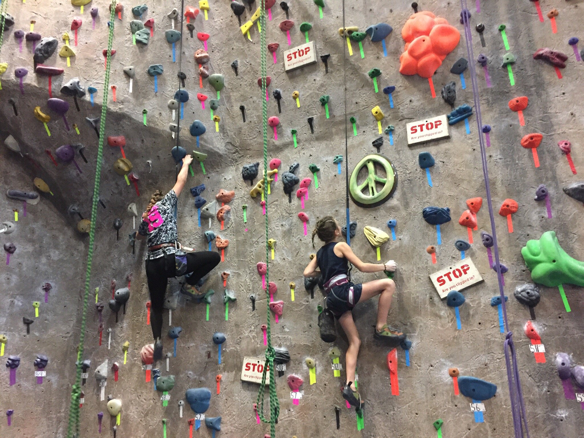 climbing gym queens