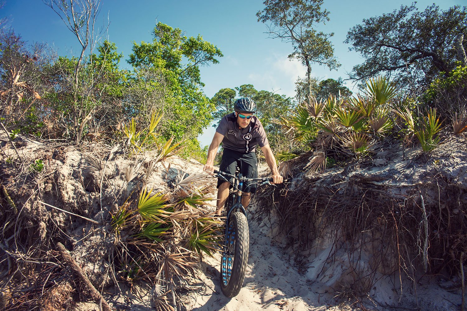 Hamilton Mountain Bike Tours & Rentals (Pensacola) - All You Need To ...