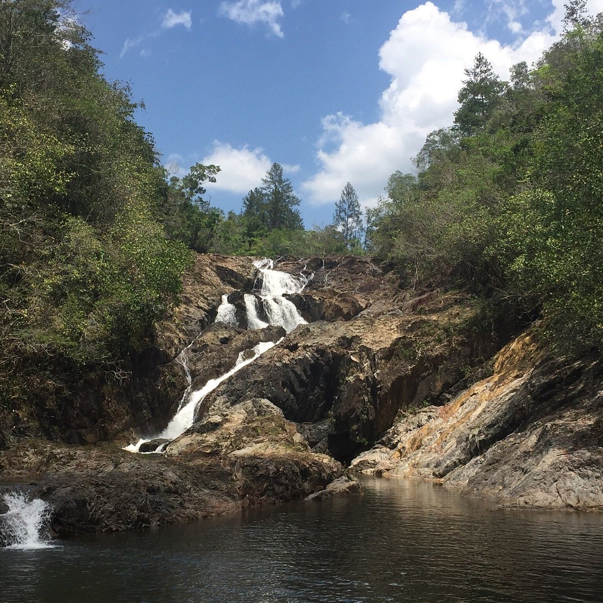 Mountain Pine Ridge Forest Reserve, Кайо: лучшие советы перед посещением -  Tripadvisor