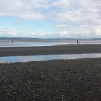 Boundary Bay Regional Park - All You Need to Know BEFORE You Go (2024)