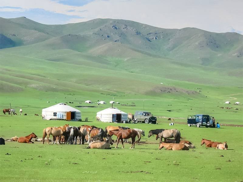 Mongolia Tour Service (Ulaanbaatar): Hours, Address - Tripadvisor