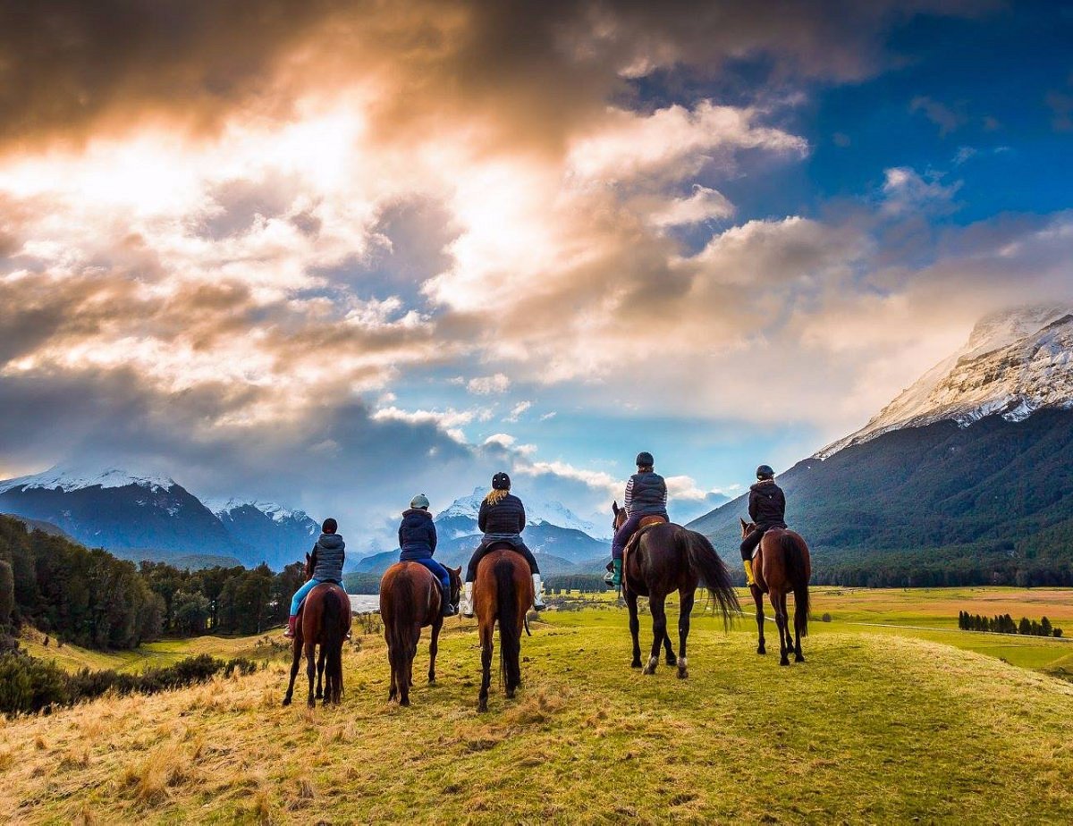 High country. Лошади в новой Зеландии. Horse riding Panorama.