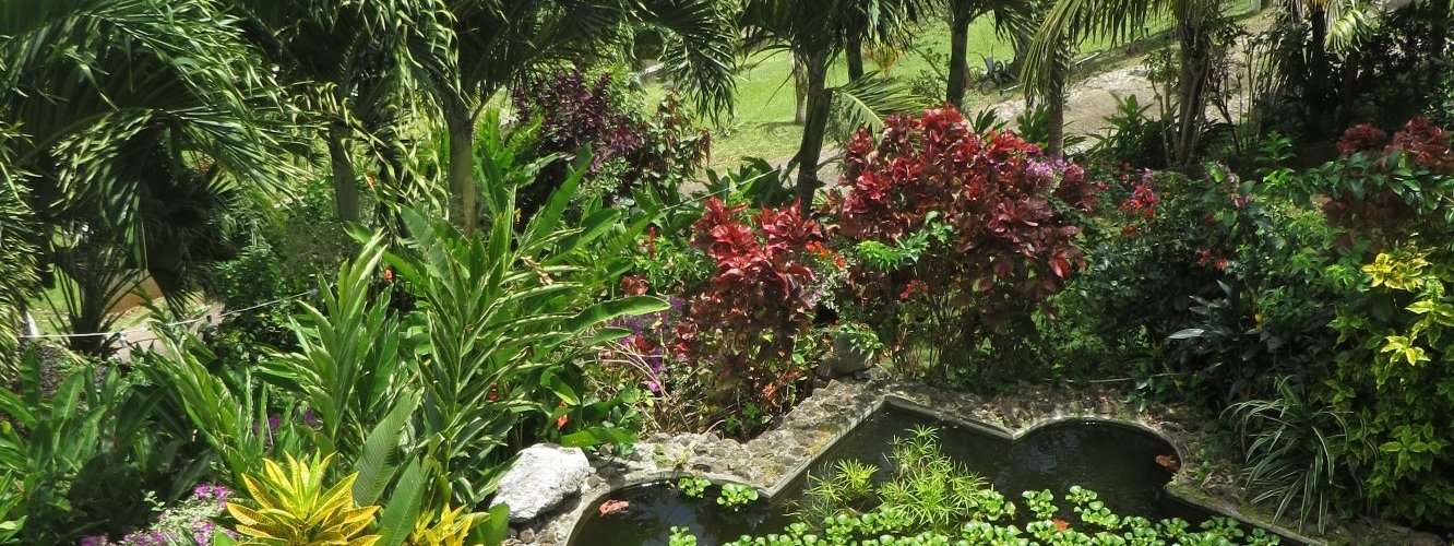 Looking to the SE (Atlantic) side of Grenada