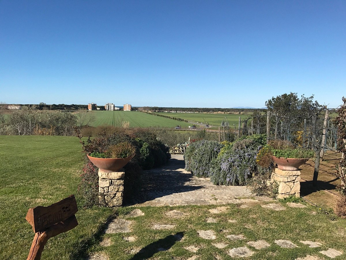 LA PECORA LADRA - Prices & Hotel Reviews (Montalto di Castro, Italy)