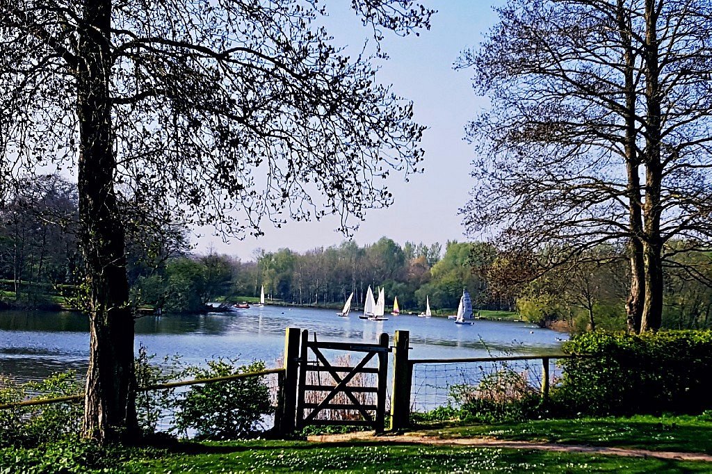 1 country park. Кантри парк. Реддитч достопримечательности. Cline Valley Country Park. Кантри парк Химки фото.