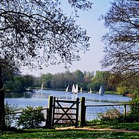 A view of the lake.