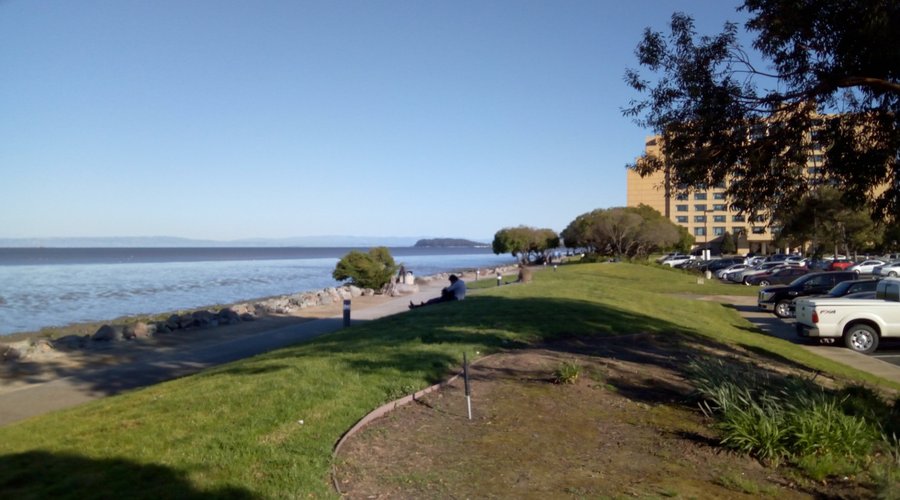 Приливные болота, Mariott Waterfront