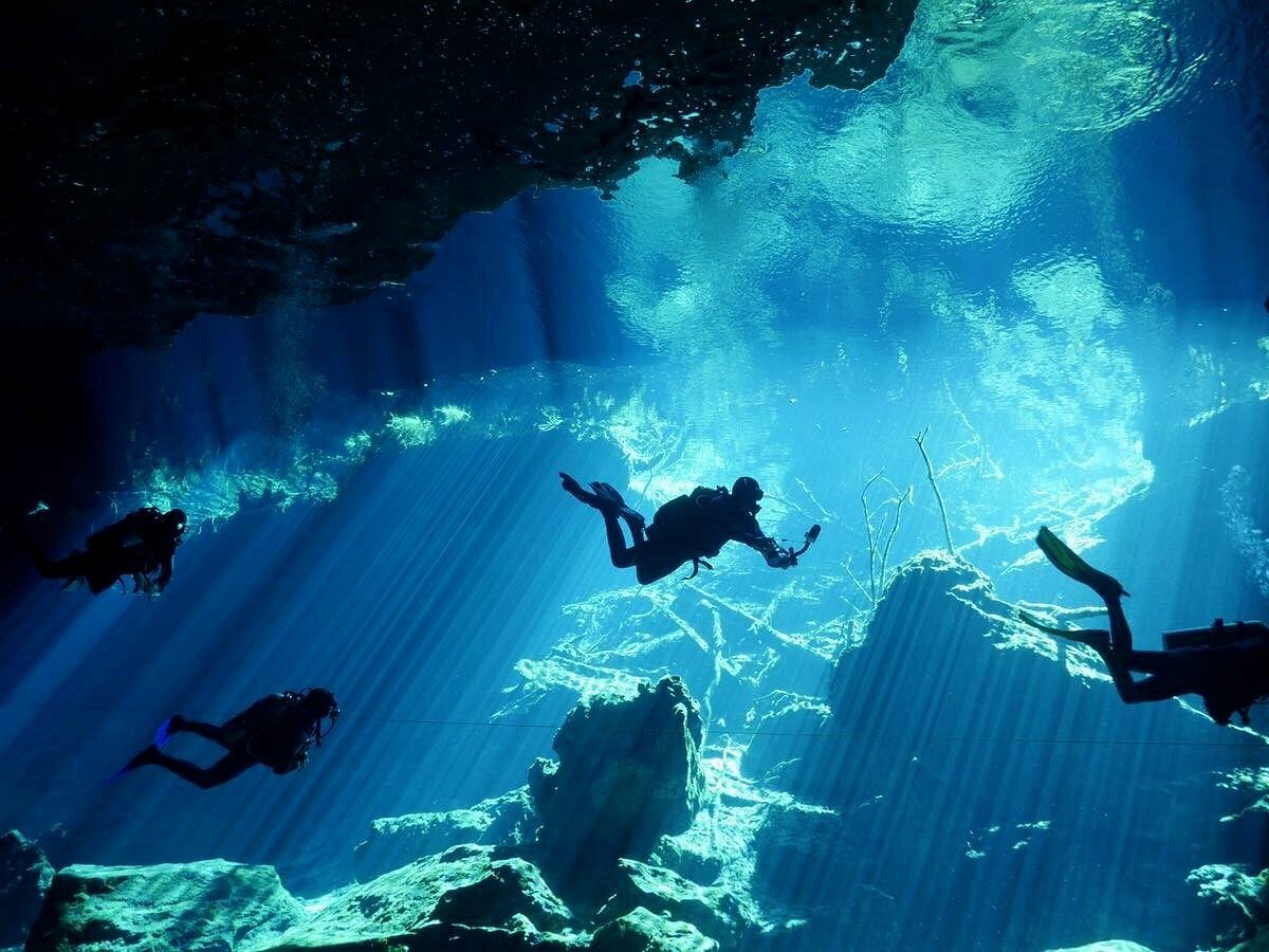 Yucatek Divers (Playa del Carmen) - All You Need to Know BEFORE You Go