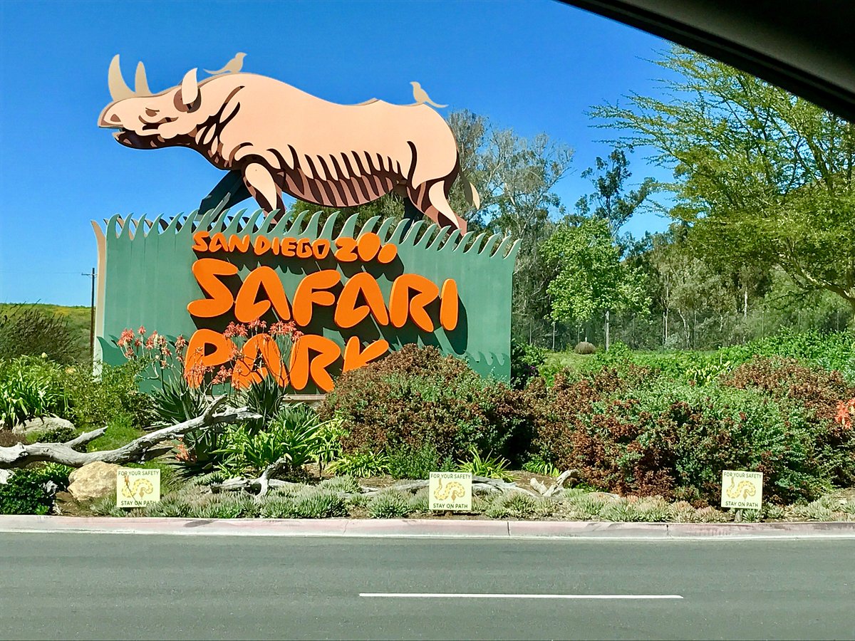 sunday at the safari park