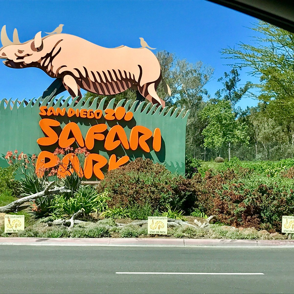 san diego zoo safari park night