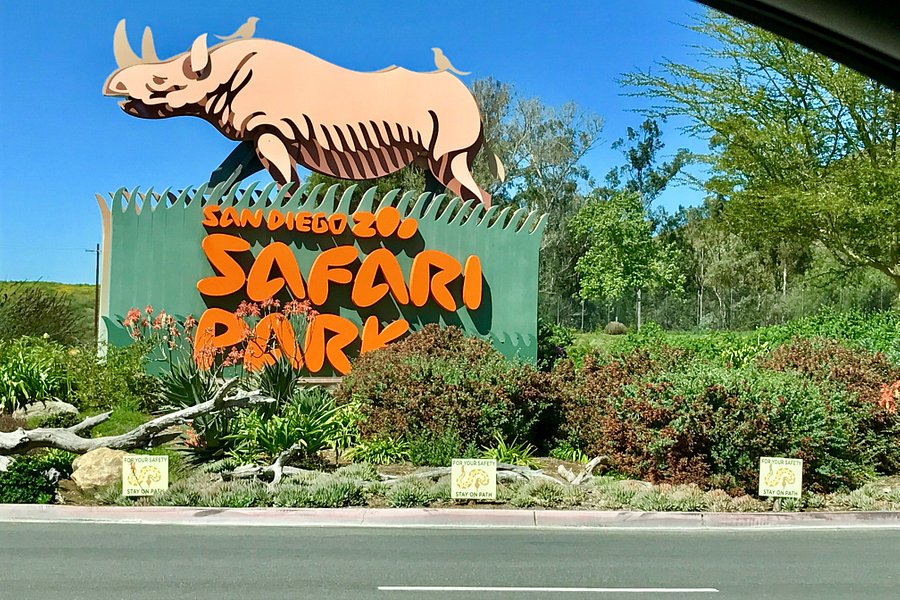 safari san diego zoo hours
