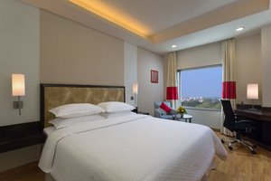 Room & Suite