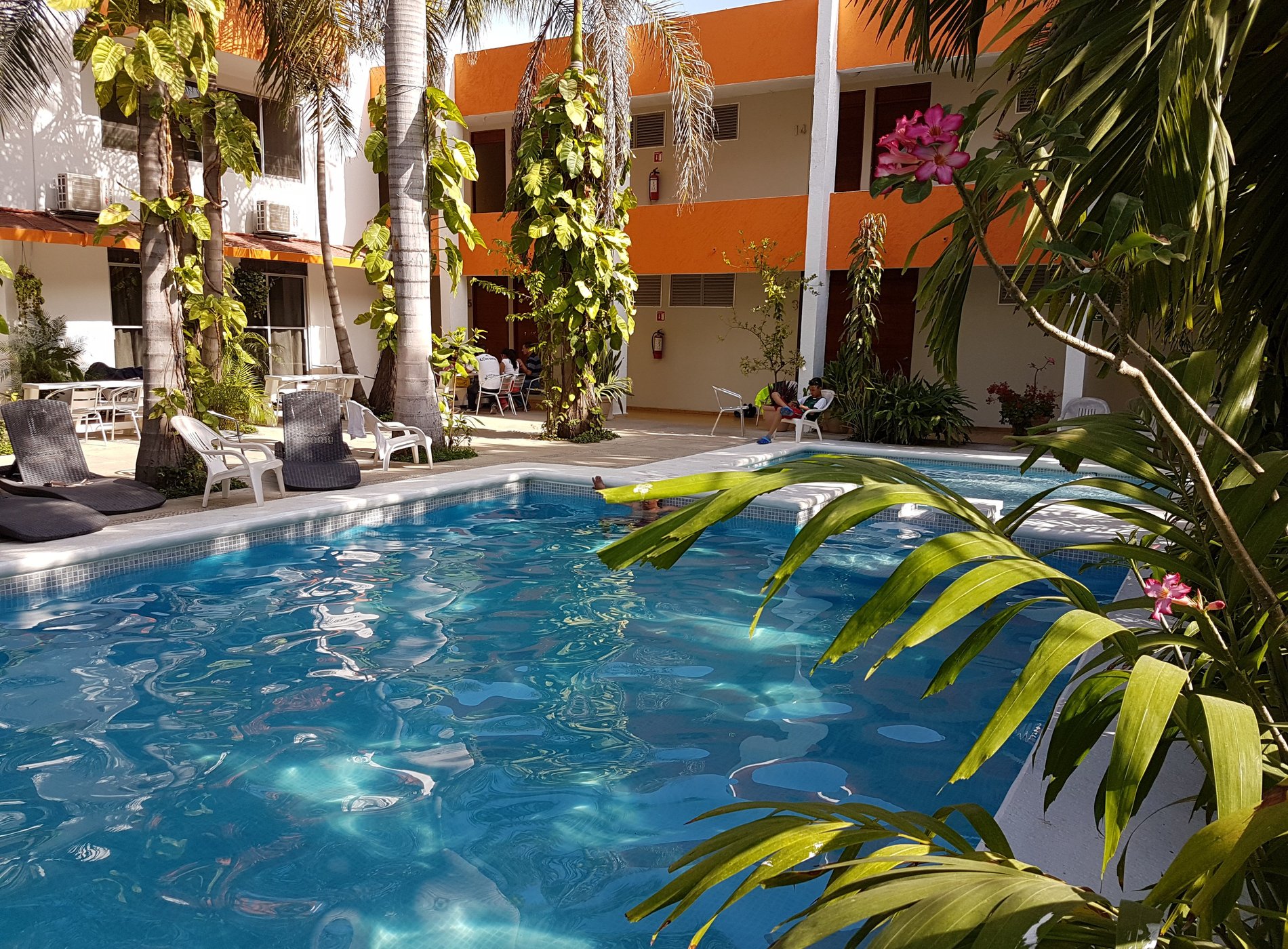 Hotel Delfín Playa Azul image