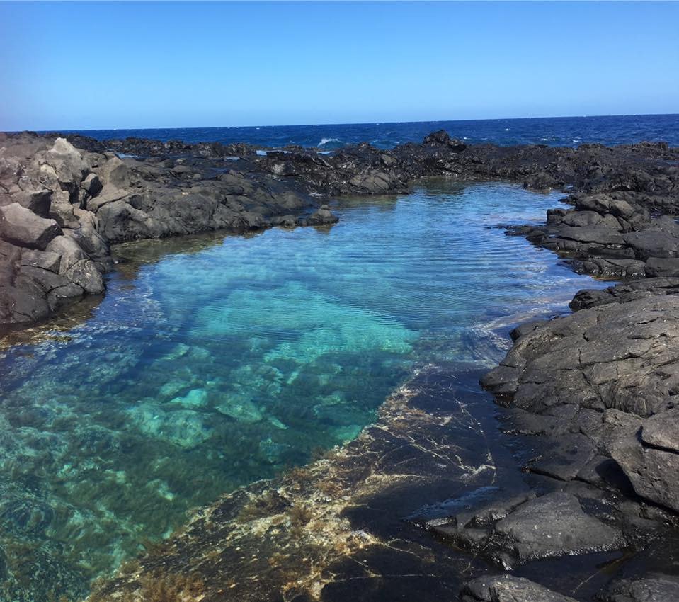 2023年 Makapu'u Point Tide Pools - 行く前に！見どころをチェック