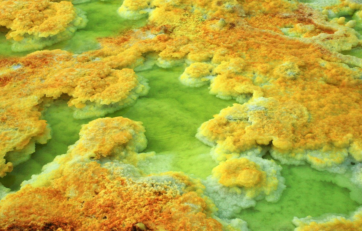 Dallol Ethiopia Tours (Mek'ele) - Review - Tripadvisor