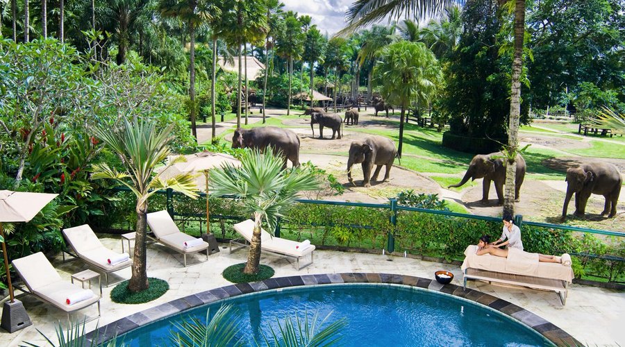 Lodge Poolside View