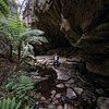 Things To Do in Dinosaur Stampede 3/4 Day Tour Including Merton Gorge, Restaurants in Dinosaur Stampede 3/4 Day Tour Including Merton Gorge