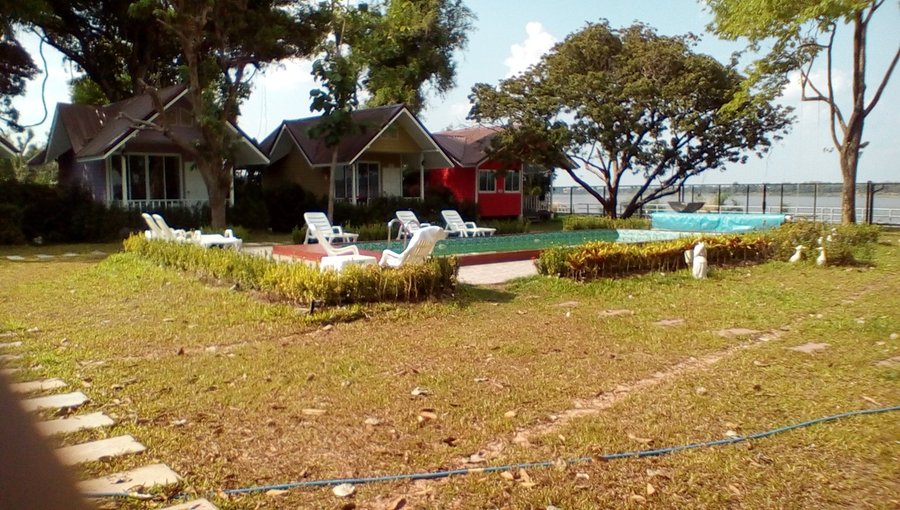 The detached cottages and pool