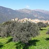 Things To Do in Corse Montagne, Restaurants in Corse Montagne