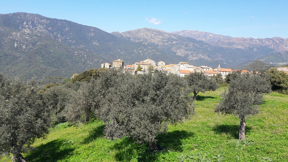 Tourisme A Sainte Lucie De Tallano 21 Visiter Sainte Lucie De Tallano Tripadvisor Tourisme A Sainte Lucie De Tallano 21 Visiter Sainte Lucie De Tallano Tripadvisor