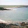 Things To Do in Salcombe Sea School, Restaurants in Salcombe Sea School