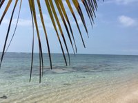 Isla Lobos (Tamiahua) - 2023 Lo que se debe saber antes de viajar -  Tripadvisor