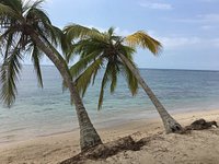 Isla Lobos (Tamiahua) - 2023 Lo que se debe saber antes de viajar -  Tripadvisor