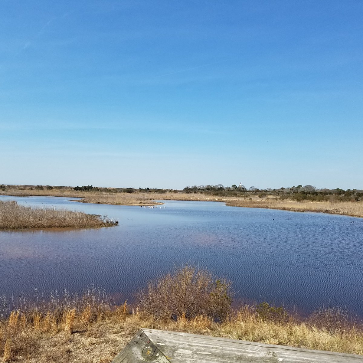 South Cape May Meadows - All You Need to Know BEFORE You Go (2024)