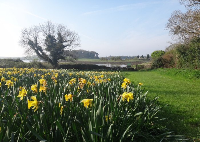 The shores of Strangford Lough