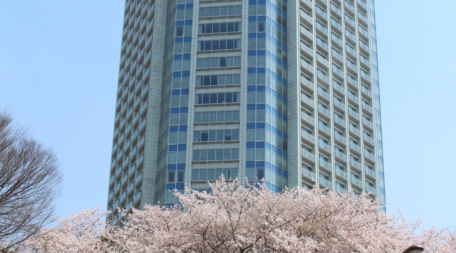 The Prince Park Tower Tokyo with cherry Blossom
