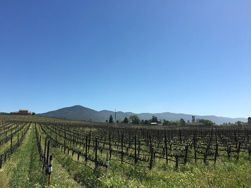 THE TOP 15 Things To Do in Napa & Sonoma