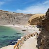 Things To Do in Buggy ride in Paracas National Reserve, Restaurants in Buggy ride in Paracas National Reserve