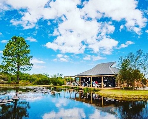 Winery and vineyard near water.