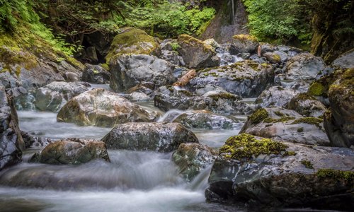 The falls along the Rosewall Creek trail
