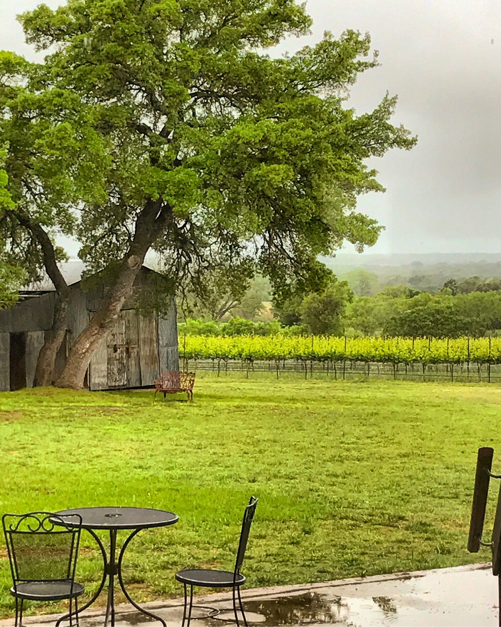 Hill country wine tours hotsell