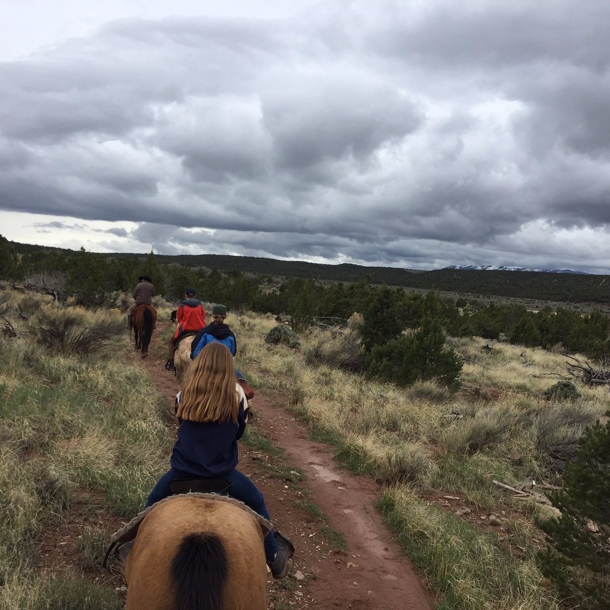 Rising K Trail Rides (Cedar City): All You Need to Know