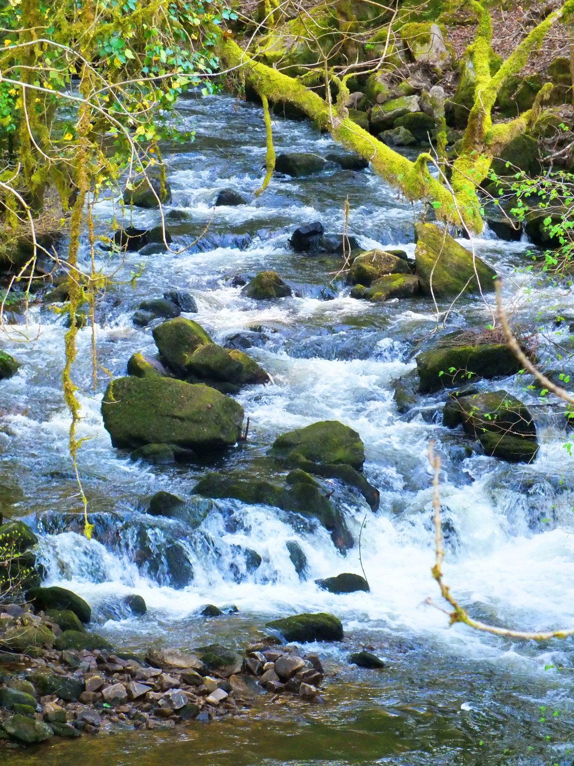 Gimel Les Cascades (Gimel-les-Cascades) - All You Need To Know BEFORE ...