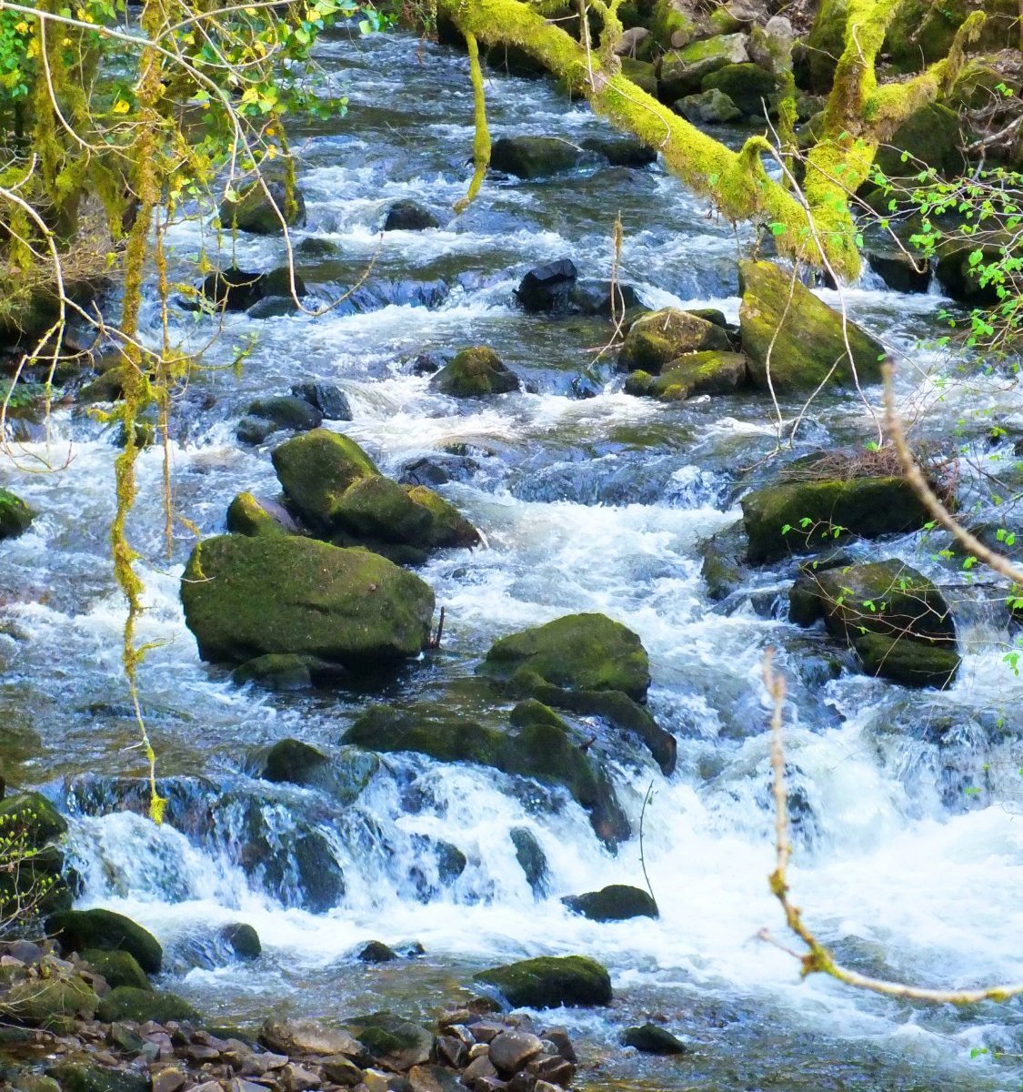 Gimel Les Cascades (GimellesCascades) Lohnt es sich? (Mit fotos)