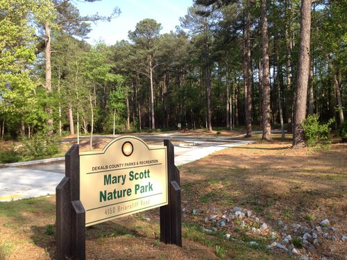 Fun Games to Play with Family and Friends: Level Up Your Park Experience -  Atlanta Area Parks