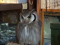 21年 Cafe Little Zoo 行く前に 見どころをチェック トリップアドバイザー 21年 Cafe Little Zoo 行く前に 見どころをチェック トリップアドバイザー