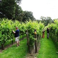 getlstd_property_photo