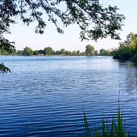 Green Village Sporting Club