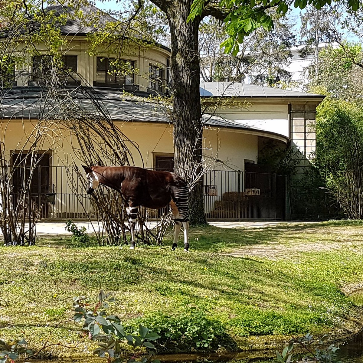 Zoo Basel Aktuelle 21 Lohnt Es Sich Mit Fotos Tripadvisor