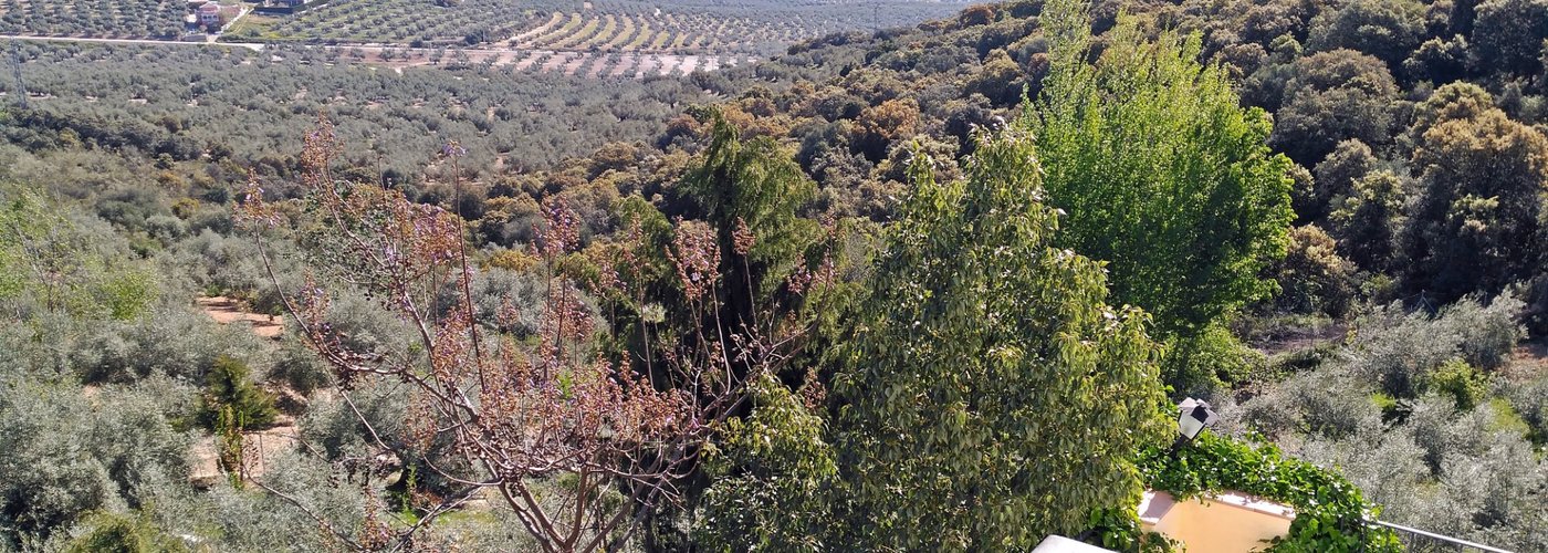 Vista desde el balcón de la habitación "Málaga"