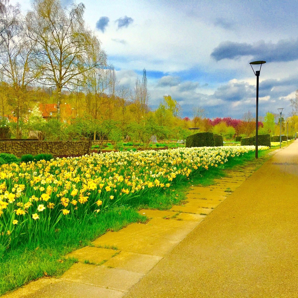 Brenzpark (Heidenheim) ATUALIZADO 2023 O que saber antes de ir