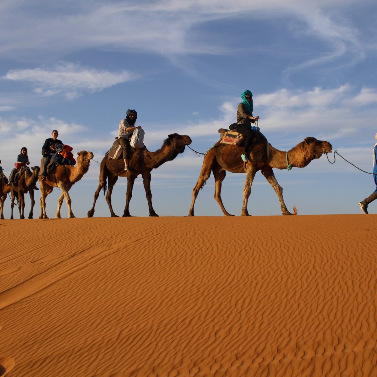 Deserto com areia movediça - Avaliações de viajantes - Wadi Araba Desert -  Tripadvisor