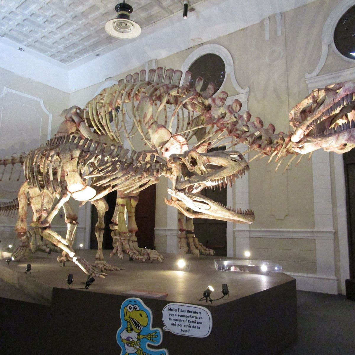 Museo de Ciencias Naturales (San Juan) - All You Need to Know BEFORE You Go